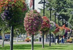 Landscaping thumbnail